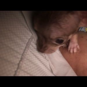 Meet your Posher, Kathy